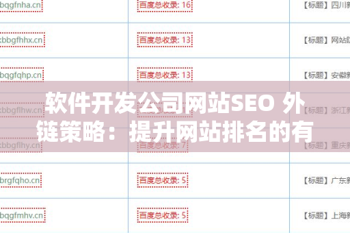 软件开发公司网站SEO 外链策略：提升网站排名的有效途径
