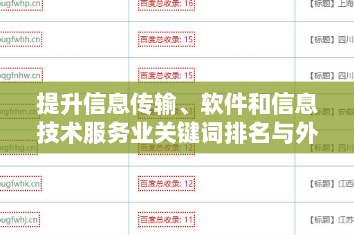 提升信息传输、软件和信息技术服务业关键词排名与外链的策略