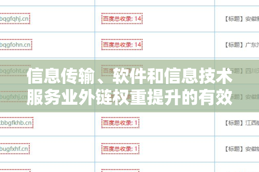 信息传输、软件和信息技术服务业外链权重提升的有效策略