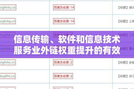 信息传输、软件和信息技术服务业外链权重提升的有效策略