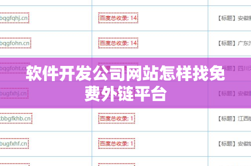 软件开发公司网站怎样找免费外链平台