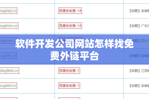 软件开发公司网站怎样找免费外链平台