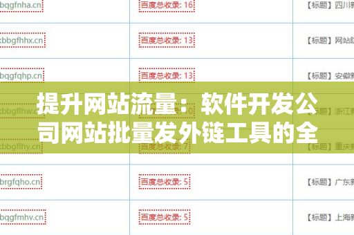 提升网站流量：软件开发公司网站批量发外链工具的全面解析