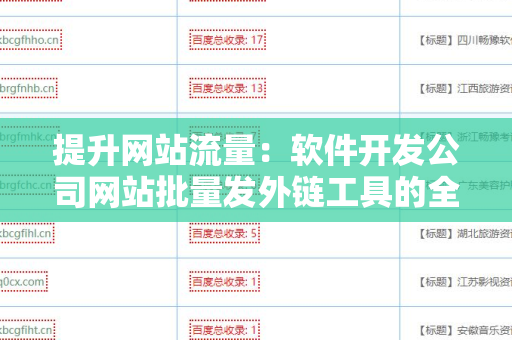 提升网站流量：软件开发公司网站批量发外链工具的全面解析