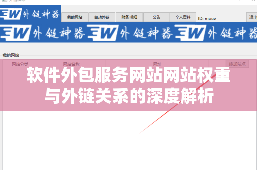 软件外包服务网站网站权重与外链关系的深度解析