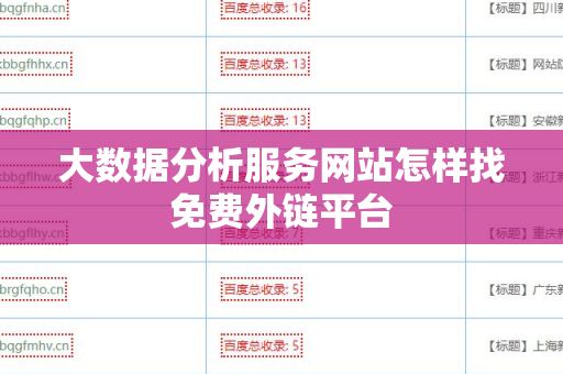 大数据分析服务网站怎样找免费外链平台