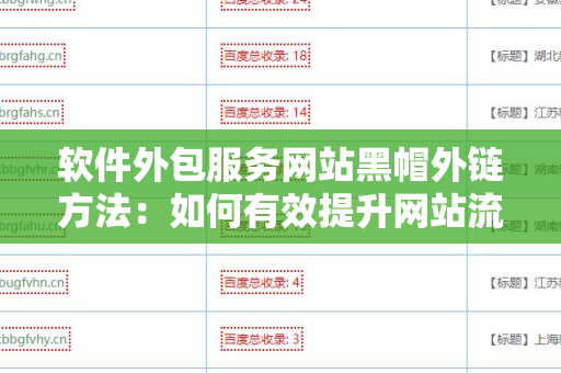 软件外包服务网站黑帽外链方法：如何有效提升网站流量？