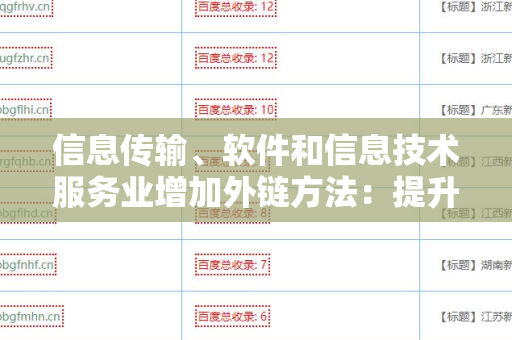 信息传输、软件和信息技术服务业增加外链方法：提升在线可见性的策略