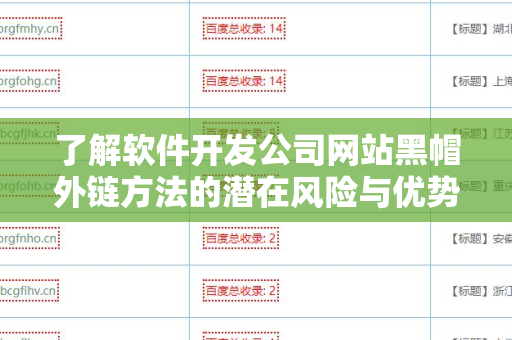 了解软件开发公司网站黑帽外链方法的潜在风险与优势