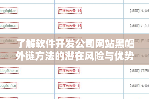 了解软件开发公司网站黑帽外链方法的潜在风险与优势