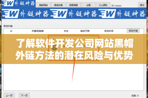 了解软件开发公司网站黑帽外链方法的潜在风险与优势