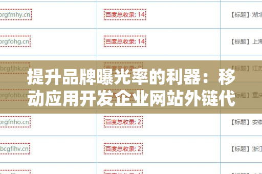 提升品牌曝光率的利器：移动应用开发企业网站外链代发服务