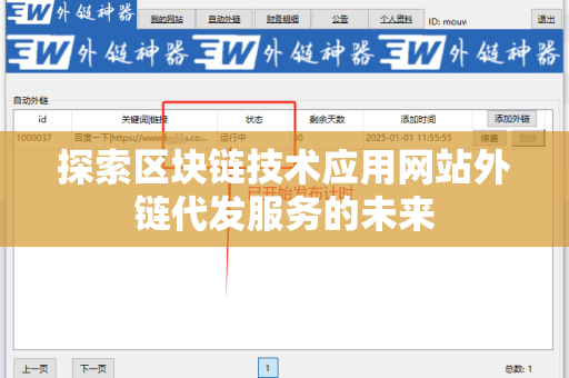 探索区块链技术应用网站外链代发服务的未来