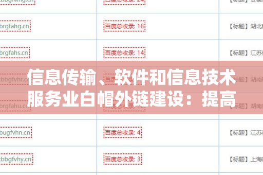 信息传输、软件和信息技术服务业白帽外链建设：提高网站排名的关键策略