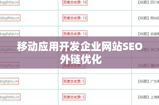 移动应用开发企业网站SEO 外链优化