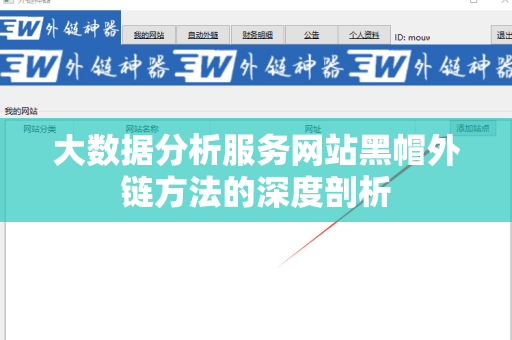 大数据分析服务网站黑帽外链方法的深度剖析