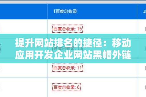 提升网站排名的捷径：移动应用开发企业网站黑帽外链方法