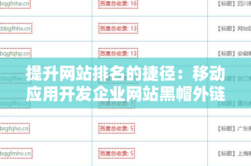 提升网站排名的捷径：移动应用开发企业网站黑帽外链方法