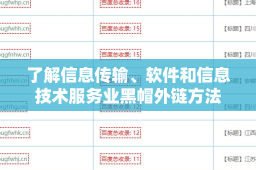 了解信息传输、软件和信息技术服务业黑帽外链方法
