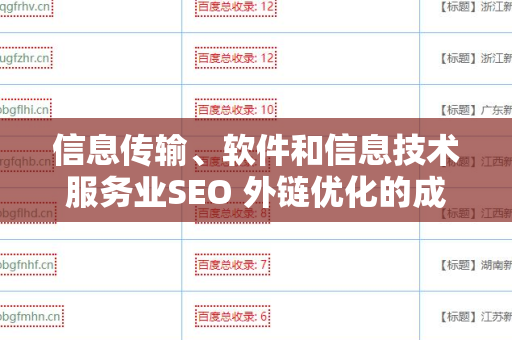 信息传输、软件和信息技术服务业SEO 外链优化的成功秘诀
