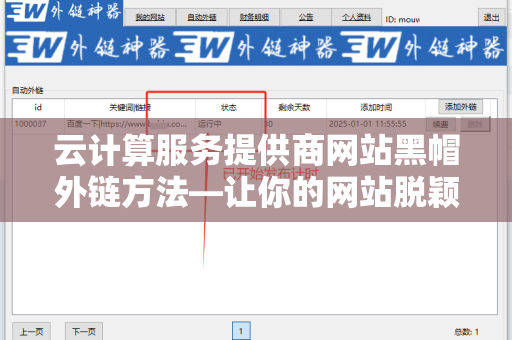 云计算服务提供商网站黑帽外链方法—让你的网站脱颖而出
