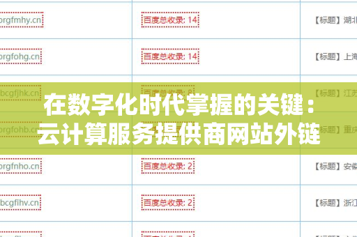在数字化时代掌握的关键：云计算服务提供商网站外链工具