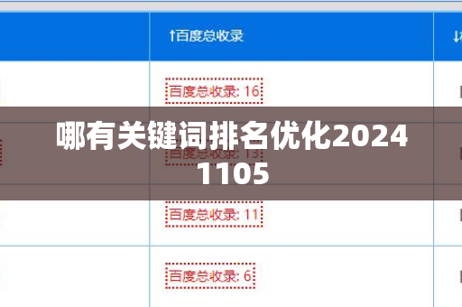 哪有关键词排名优化20241105