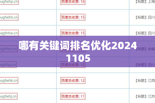 哪有关键词排名优化20241105