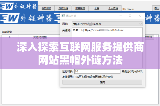 深入探索互联网服务提供商网站黑帽外链方法