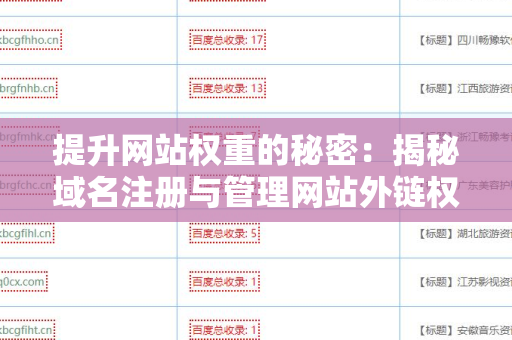 提升网站权重的秘密：揭秘域名注册与管理网站外链权重提升