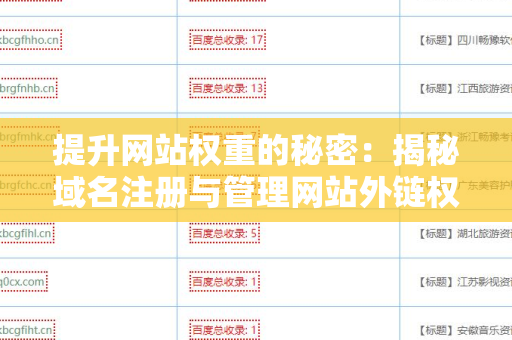 提升网站权重的秘密：揭秘域名注册与管理网站外链权重提升