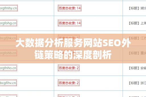 大数据分析服务网站SEO外链策略的深度剖析