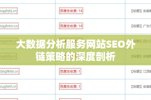 大数据分析服务网站SEO外链策略的深度剖析