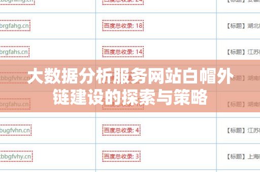 大数据分析服务网站白帽外链建设的探索与策略