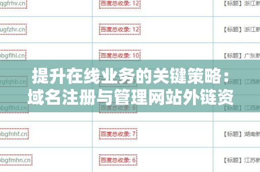 提升在线业务的关键策略：域名注册与管理网站外链资源