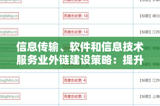 信息传输、软件和信息技术服务业外链建设策略：提升业务影响力的关键