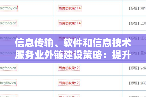 信息传输、软件和信息技术服务业外链建设策略：提升业务影响力的关键