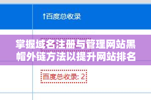 掌握域名注册与管理网站黑帽外链方法以提升网站排名