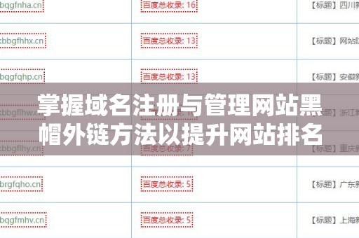 掌握域名注册与管理网站黑帽外链方法以提升网站排名