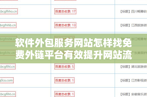 软件外包服务网站怎样找免费外链平台有效提升网站流量