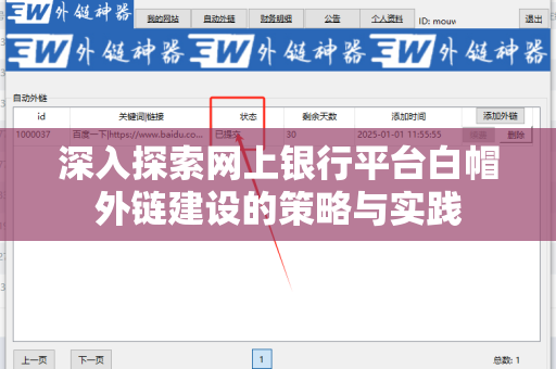 深入探索网上银行平台白帽外链建设的策略与实践