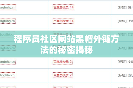 程序员社区网站黑帽外链方法的秘密揭秘