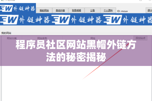 程序员社区网站黑帽外链方法的秘密揭秘