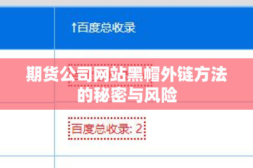 期货公司网站黑帽外链方法的秘密与风险