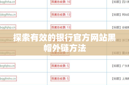 探索有效的银行官方网站黑帽外链方法