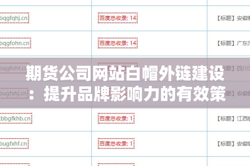 期货公司网站白帽外链建设：提升品牌影响力的有效策略