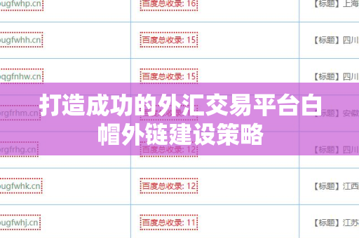 打造成功的外汇交易平台白帽外链建设策略