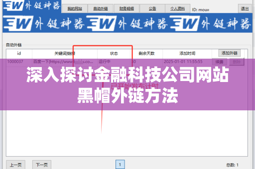 深入探讨金融科技公司网站黑帽外链方法