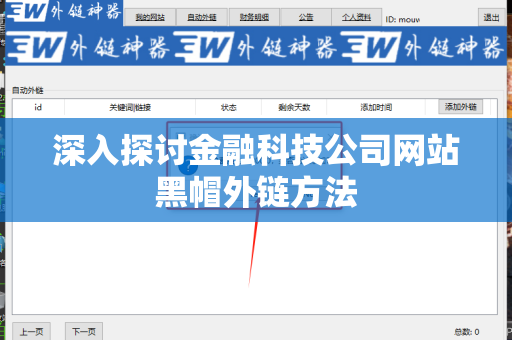 深入探讨金融科技公司网站黑帽外链方法