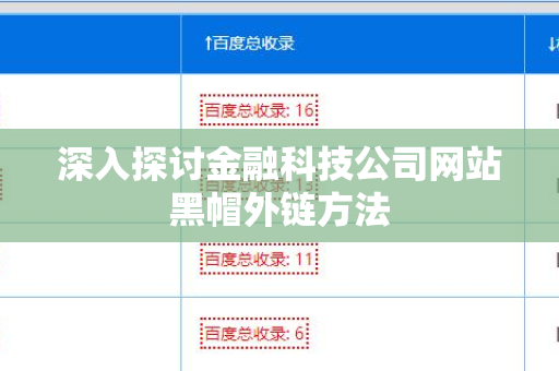 深入探讨金融科技公司网站黑帽外链方法